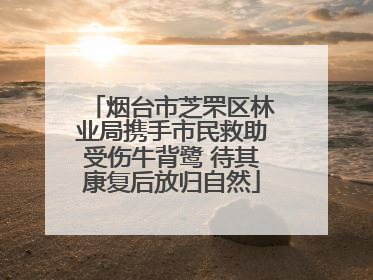 烟台市芝罘区林业局携手市民救助受伤牛背鹭 待其康复后放归自然