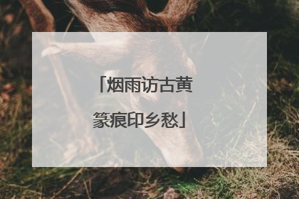 烟雨访古黄 篆痕印乡愁