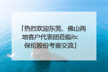 热烈欢迎东莞、佛山两地客户代表团莅临itc保伦股份考察交流