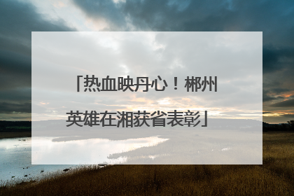 热血映丹心！郴州英雄在湘获省表彰