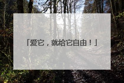 爱它，就给它自由！