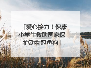 爱心接力！保康小学生救助国家保护动物冠鱼狗