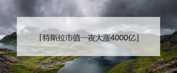 特斯拉市值一夜大涨4000亿