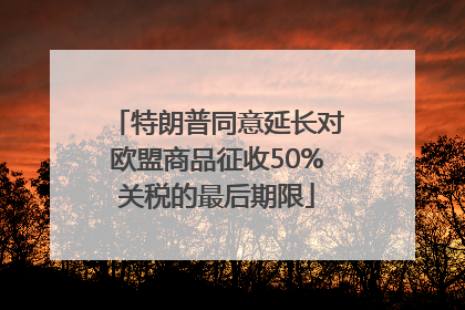 特朗普同意延长对欧盟商品征收50%关税的最后期限