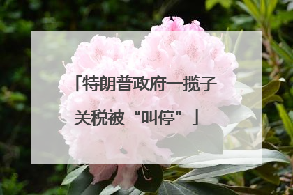 特朗普政府一揽子关税被“叫停”
