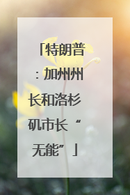 特朗普：加州州长和洛杉矶市长“无能”