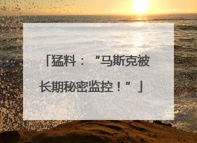 猛料：“马斯克被长期秘密监控！”