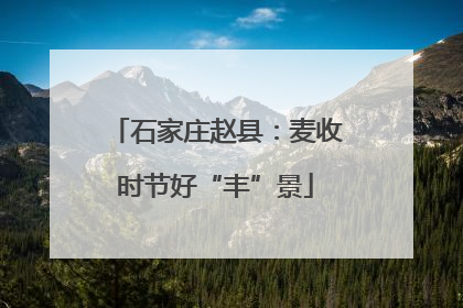 石家庄赵县：麦收时节好“丰”景