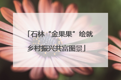 石林“金果果”绘就乡村振兴共富图景