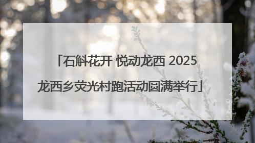 石斛花开 悦动龙西 2025龙西乡荧光村跑活动圆满举行