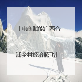 电商赋能广西合浦乡村经济腾飞