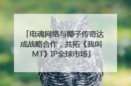 电魂网络与椰子传奇达成战略合作，共拓《我叫MT》IP全球市场