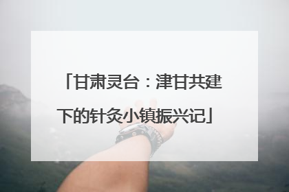 甘肃灵台：津甘共建下的针灸小镇振兴记