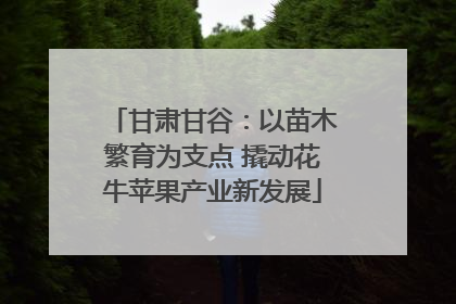 甘肃甘谷：以苗木繁育为支点 撬动花牛苹果产业新发展
