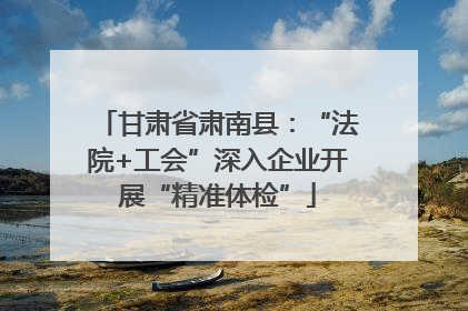 甘肃省肃南县：“法院+工会”深入企业开展“精准体检”
