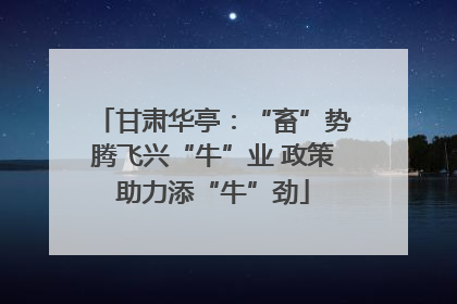 甘肃华亭：“畜”势腾飞兴“牛”业 政策助力添“牛”劲