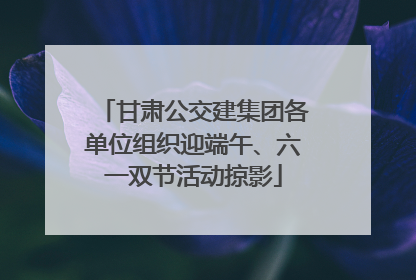 甘肃公交建集团各单位组织迎端午、六一双节活动掠影