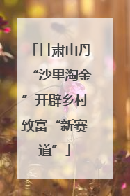 甘肃山丹“沙里淘金”开辟乡村致富“新赛道”