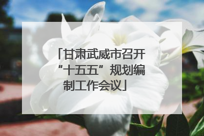 甘肃武威市召开“十五五”规划编制工作会议