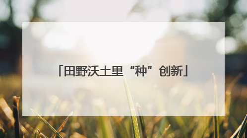 田野沃土里“种”创新