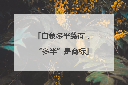 白象多半袋面，“多半”是商标