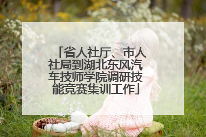 省人社厅、市人社局到湖北东风汽车技师学院调研技能竞赛集训工作