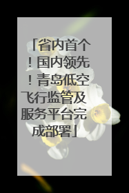 省内首个！国内领先！青岛低空飞行监管及服务平台完成部署