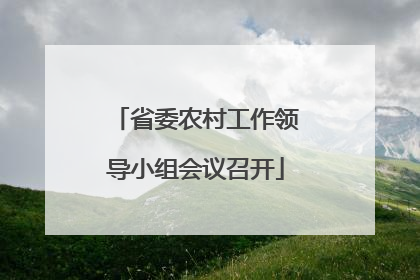 省委农村工作领导小组会议召开