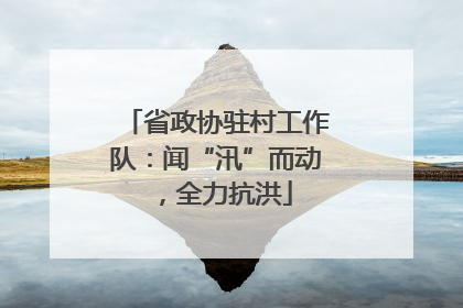 省政协驻村工作队：闻“汛”而动，全力抗洪