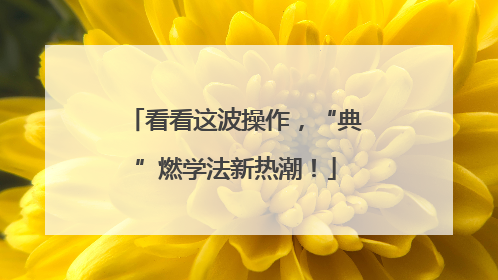看看这波操作，“典”燃学法新热潮！