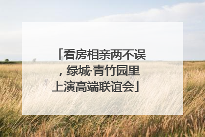 看房相亲两不误，绿城·青竹园里上演高端联谊会