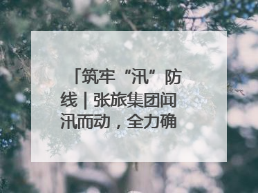 筑牢“汛”防线｜张旅集团闻汛而动，全力确保安全度汛