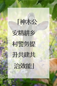 神木公安精耕乡村警务提升共建共治效能