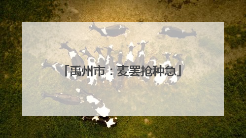 禹州市：麦罢抢种急