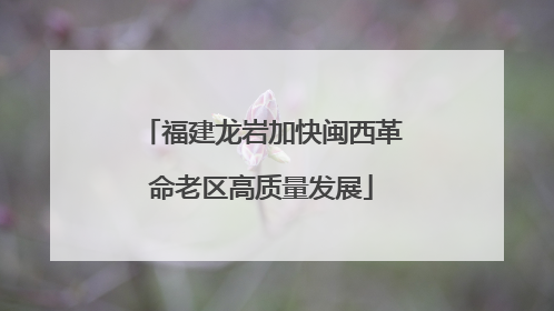 福建龙岩加快闽西革命老区高质量发展