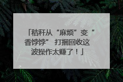 秸秆从“麻烦”变“香饽饽” 打捆回收这波操作太赚了！