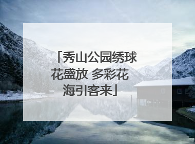 秀山公园绣球花盛放 多彩花海引客来