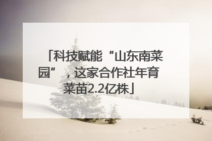 科技赋能“山东南菜园”，这家合作社年育菜苗2.2亿株