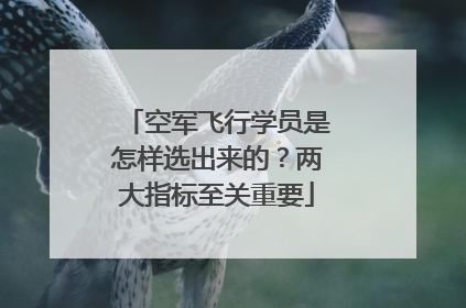 空军飞行学员是怎样选出来的？两大指标至关重要