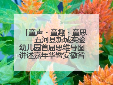 童声・童趣・童思——五河县新城实验幼儿园首届思维导图讲述嘉年华暨安徽省学前教育教研基地园项目阶段性成果展示活动