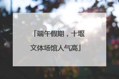 端午假期，十堰文体场馆人气高
