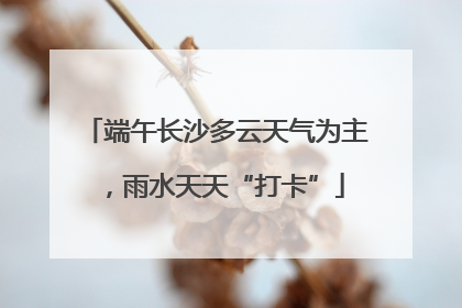 端午长沙多云天气为主，雨水天天“打卡”