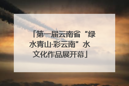 第一届云南省“绿水青山·彩云南”水文化作品展开幕