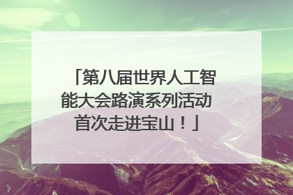 第八届世界人工智能大会路演系列活动首次走进宝山！