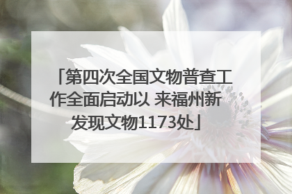 第四次全国文物普查工作全面启动以 来福州新发现文物1173处