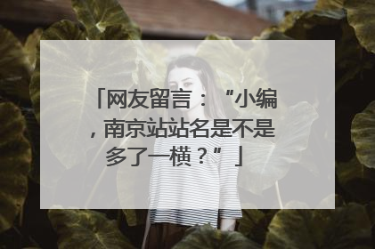 网友留言：“小编，南京站站名是不是多了一横？”