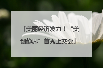美丽经济发力！“美创静界”首秀上交会