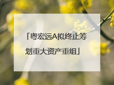 粤宏远A拟终止筹划重大资产重组