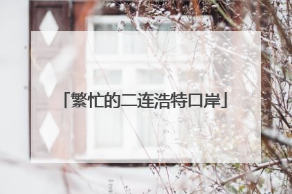 繁忙的二连浩特口岸