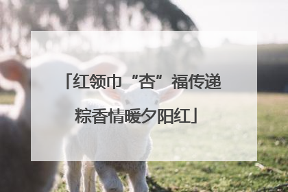红领巾“杏”福传递 粽香情暖夕阳红